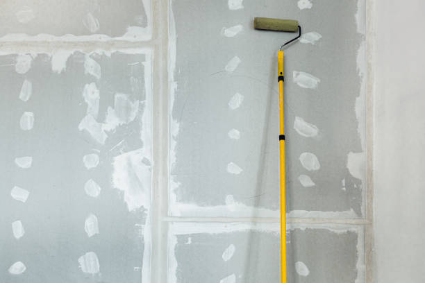 Best Environmental Consulting for Mold Prevention  in Kensett, AR