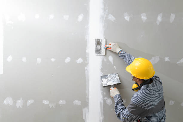 Best Mold-Related Health Consultation  in Kensett, AR