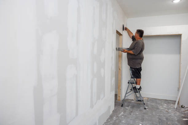 Best Post-Construction Mold Inspection  in Kensett, AR