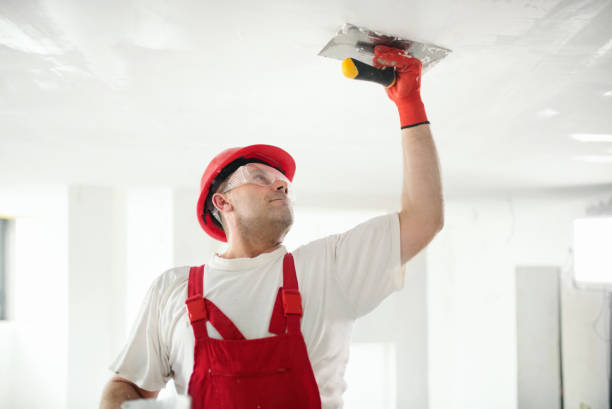 Best Post-Remediation Verification Testing  in Kensett, AR